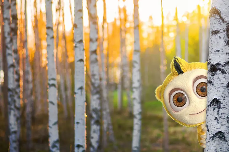 Forest-Axel.jpg)