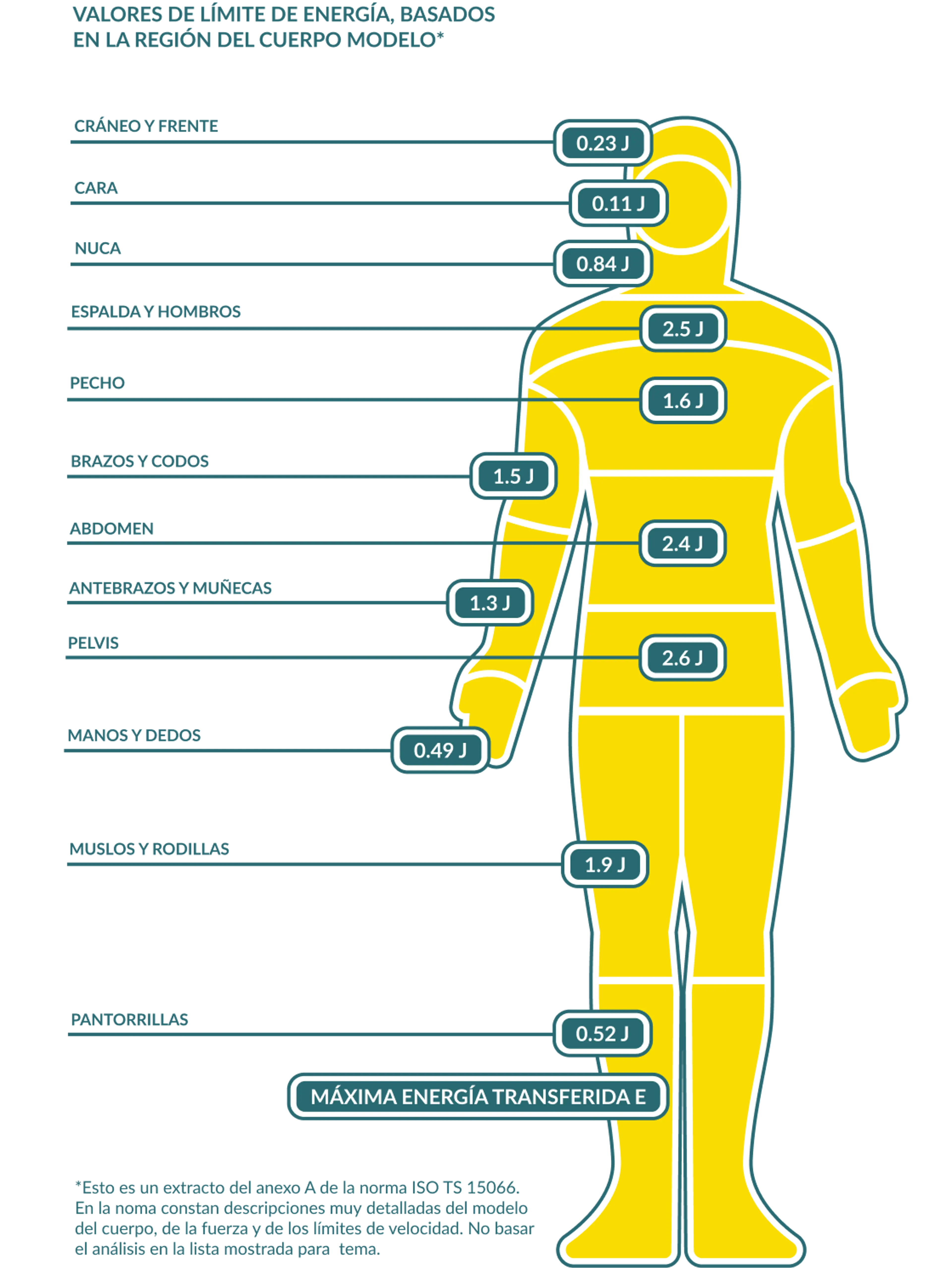 Infografía de un cuerpo humano que muestra los valores límites de energía en función del modelo de regiones corporales.